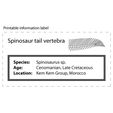 spino_caudal_label.jpg Download free STL file Spinosaurus Tail Vertebra • Design to 3D print, LordTrilobite