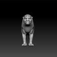 liiii2.jpg Lion male - toon lion - cartoon 3d lion