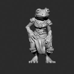 1.jpg Free STL file Female Grung - D&D Tabletop Miniature・3D printing idea to download