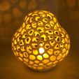 IMG_1936.JPG Voronoi LED toadstool tealight shade