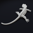 Look3.png Crested Gecko Lizard Pet