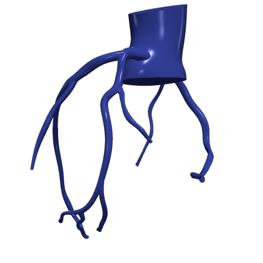 1.png 主动脉和冠状动脉 3D 模型 - 6 件装