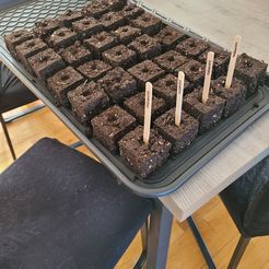 20230311_103258.jpg soil press to make your seedlings