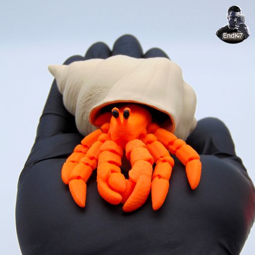 Articulated Hermit Crab - no supports - Cults3D 3D Model | 3Drop
