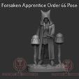 Ahsoka-order-33-render-1.jpg Forsaken Apprentice Order 66 Pose - Legion Scale