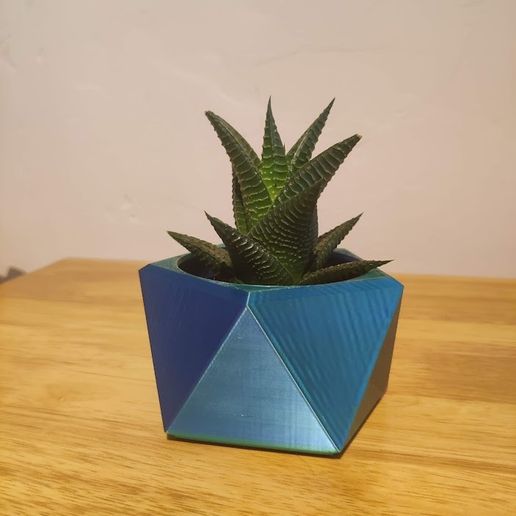 IMG_20250713_141412.jpg Twisted Pentagonal Planter