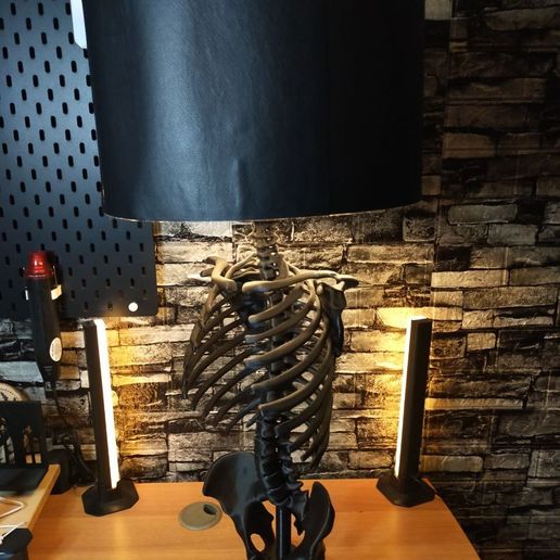 6014826777647630420.jpg HUMAN SKELETON LAMP