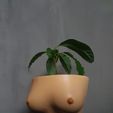 5.jpg pot for flowerpot breast
