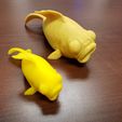 20190129_090025.jpg Free STL file ThatJoshGuy's Dead Goldfish・3D printable model to download, ThatJoshGuy