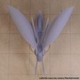 Damselfly-Spelljammer-Ship-Model-Top.jpg Damselfly Ship Spelljammer Miniature from DnD