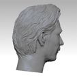 N6.jpg Leon:The Professional Norman Stanfield HEAD SCULPTURE 3D PRINT MODEL