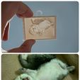 2-2.jpg Picture (up light ) - Cats