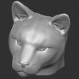 16.jpg Cougar / Mountain Lion head for 3D printing