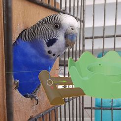 comedero-de-periquito.jpg parakeet feeder