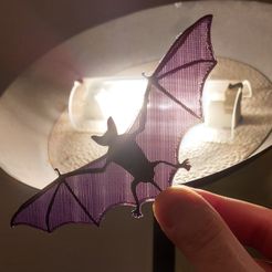 20221107_205255.jpg OBJ file !!! Bat!!!・3D printing idea to download