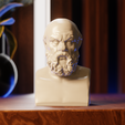 socrates4.png Bust of Socrates 🤔