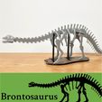 Brontosaurus [3Dino Puzzle] Brontosaurus(Classic Apatosaurus)
