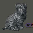Shar-PeiMM.jpg Shar Pei Puppy Sculpture (Dog Statue 3D Scan)