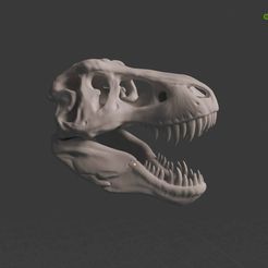 Screenshot-2023-09-02-120714.jpg Fichier STL T REX Crâne・Design pour imprimante 3D à télécharger