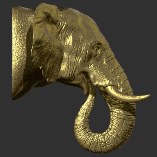 44.jpg Elephant head