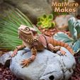 Beardie_06.jpg Bearded Dragon Articulated Toy, Print-In-Place Body, Snap-Fit Head, Cute Flexi