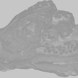 oyster-shell-vol.-8-image-6.png Oyster Shell Vol. 8 – High-Detail 3D Printable Model (STL, OBJ, 3MF)