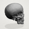 Skull - A04.png Skull 01