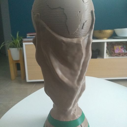 IMG_20221220_155008086.jpg Copa del Mundo seccionada