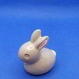 1615918030555.jpg Small rabbit - Petit Lapin
