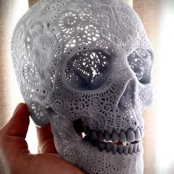 preview1.jpg 3D file Filigree Anatomical Skull・3D printer model to download