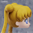 usagi01Dw.png Sailor Moon Usagi Custom Nendoroid Hair