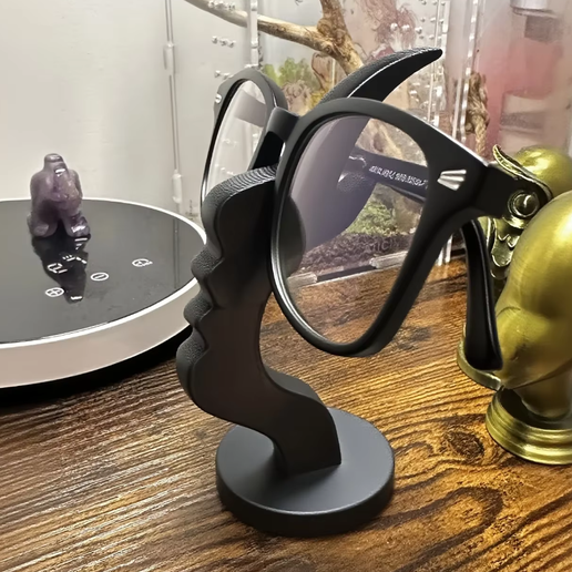 Porta-óculos minimalista - Perfil facial abstrato