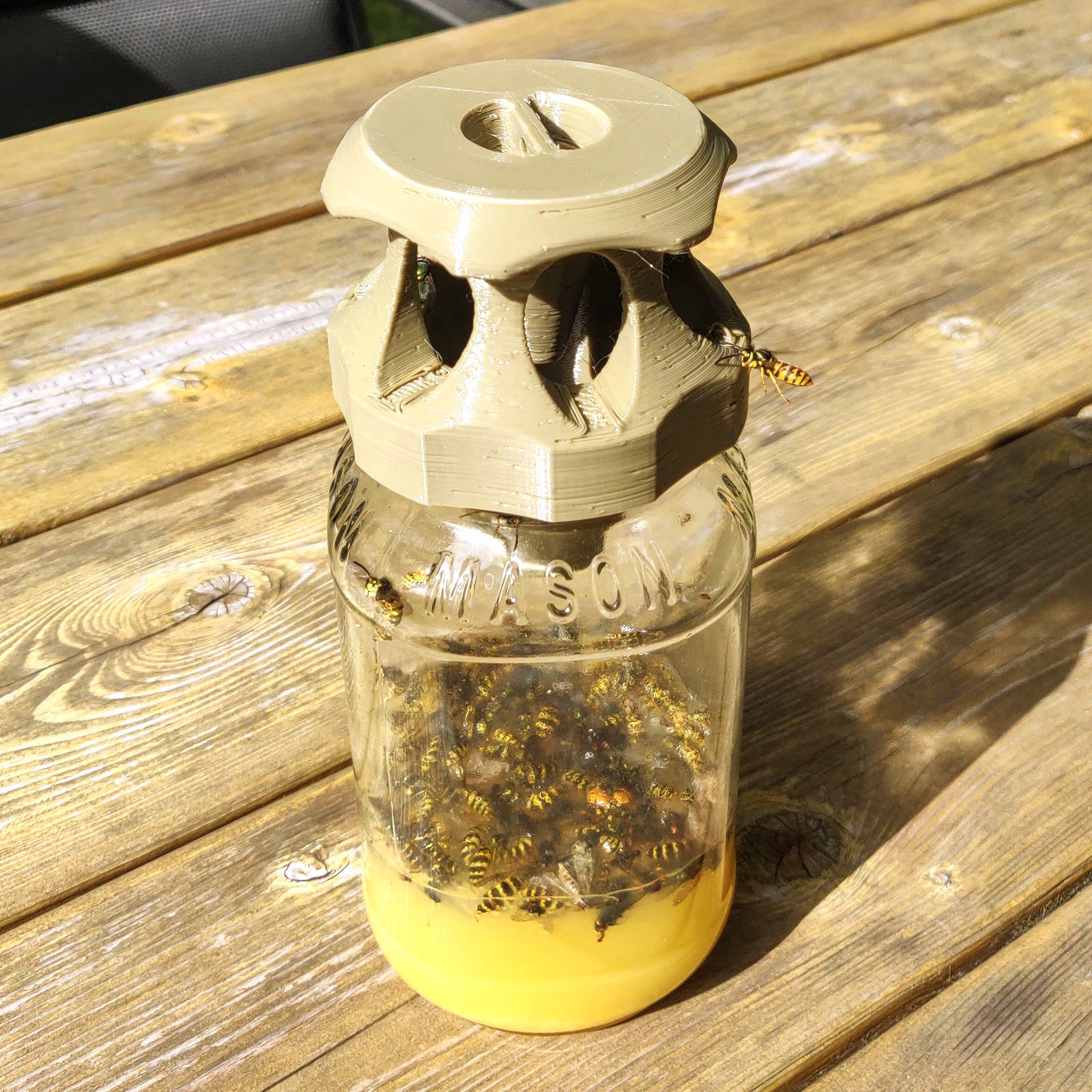 STL file Wasp Trap Screwable mason jar lid・3D print object to