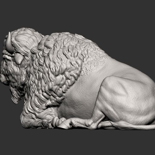 bison9.jpg Bison 3D-Druckmodell
