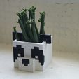 DSC00110.jpg Minecraft Panda planter pot
