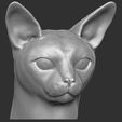 3.jpg Abyssinian cat head for 3D printing
