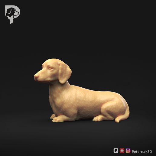 Dachshund-Smooth-Haired-Pose-09-Dog-3D-Print-9s.jpeg Teckel à poil lisse Pose 09