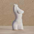 0005.png Fichier 3D Fichier : Reproduction Torso Femme au format numérique・Design pour imprimante 3D à télécharger, Mak3_Me_Studio