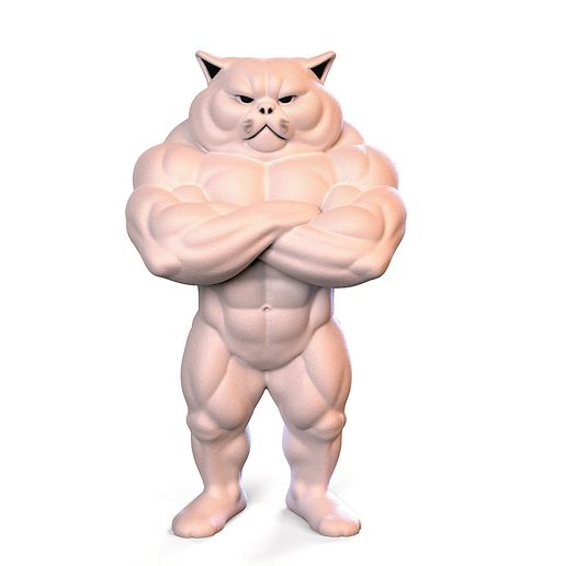 tbrender_Viewport_001.jpg Chat bodybuildé.