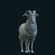 IMG_0202.png Goat standing stl