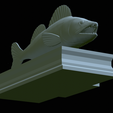 zander-statue-4-open-mouth-1-46.png fish zander / pikeperch / Sander lucioperca  open mouth statue detailed texture for 3d printing