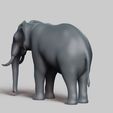 R05.jpg elephant pose 01