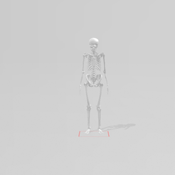 front.PNG Archivo STL Esqueleto del cuerpo humano・Diseño para descargar y imprimir en 3D