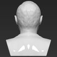 vladimir-putin-bust-ready-for-full-color-3d-printing-3d-model-obj-stl-wrl-wrz-mtl (34).jpg Vladimir Putin bust ready for full color 3D printing