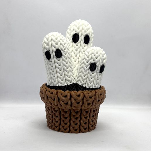 KGP-1.jpeg Knitted Ghost Plant