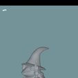 1000009073.jpg Wizard frog