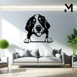 Bernese-mountain-dog-Hang.png Wall silhouette - Dogs Hang