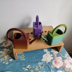 trois-arrosoirs.jpg Mini watering can for indoor plants