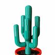 77615bcd-685c-4065-92e0-911c788a2fe2.jpg Modular desert cactus