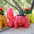 20211025_145748.jpg Fichier STL Pot de fleurs Dicky Turtle 🌵・Objet pour imprimante 3D à télécharger